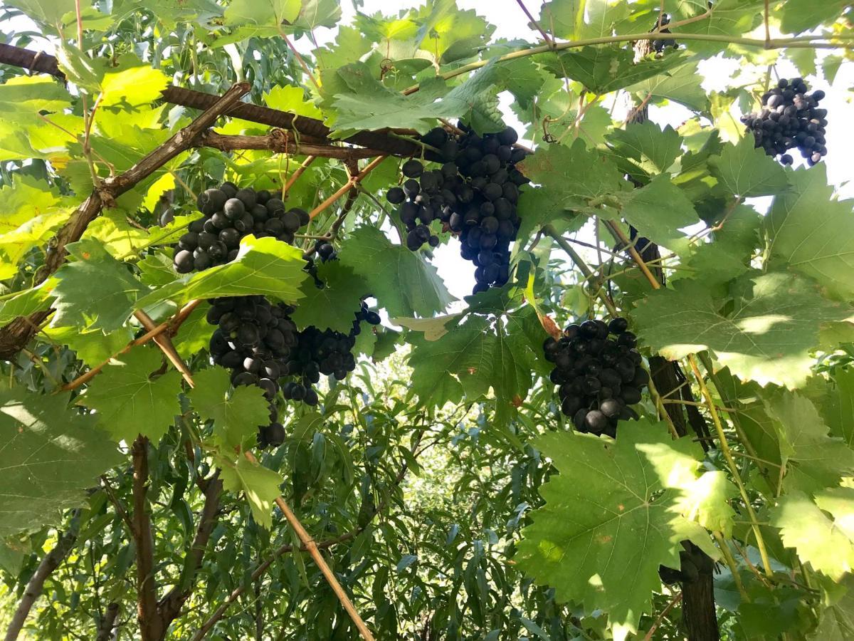Ekas Rosengarten Gori Esterno foto