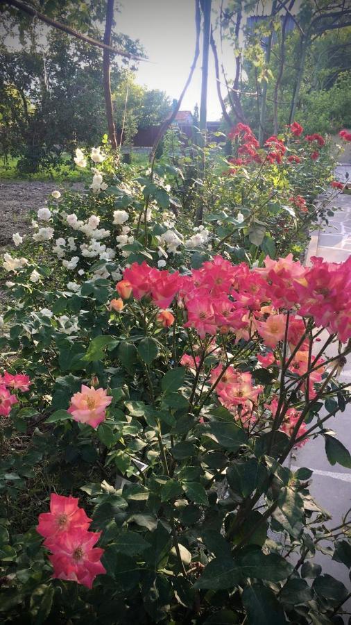 Ekas Rosengarten Gori Esterno foto