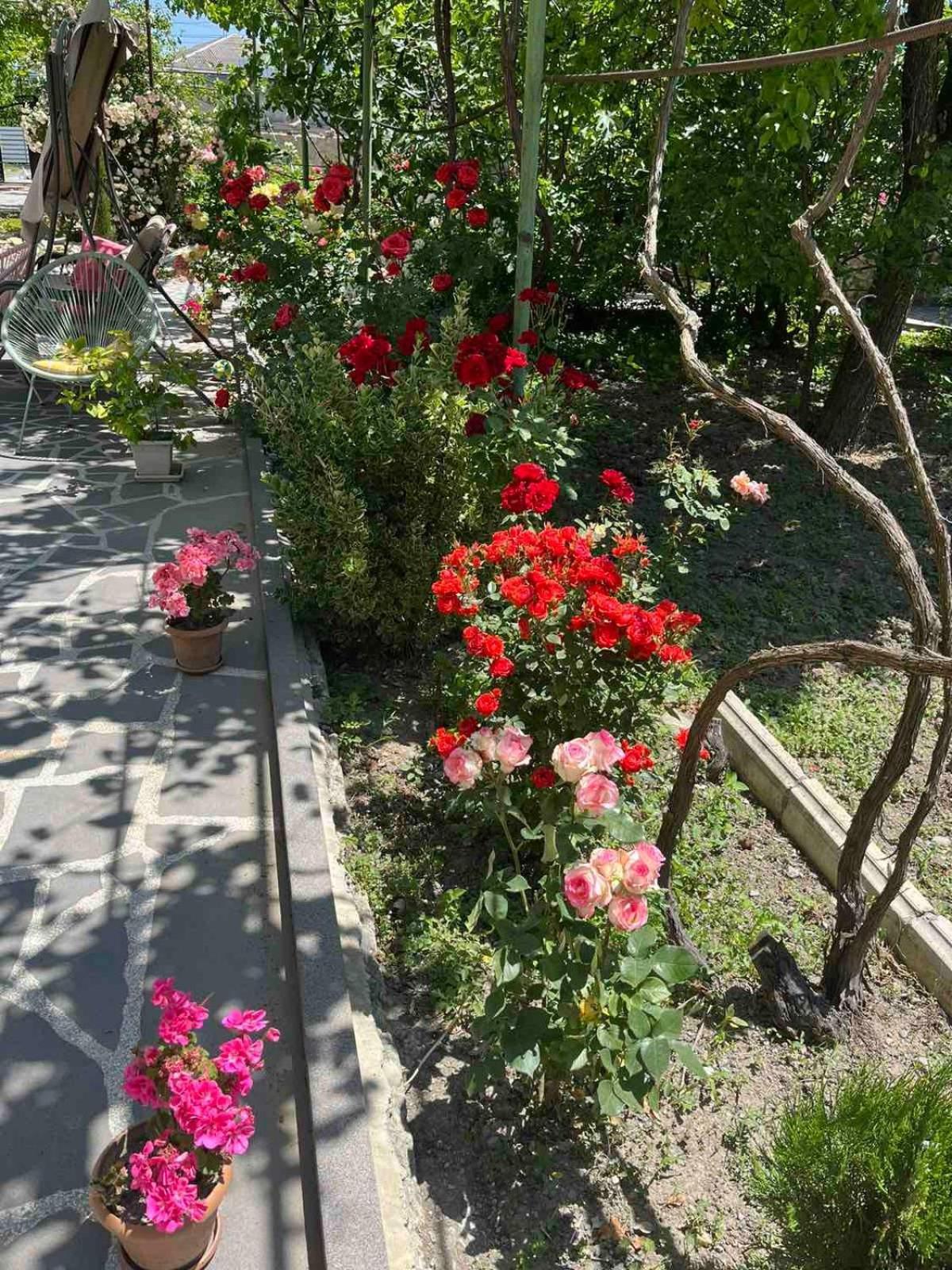 Ekas Rosengarten Gori Esterno foto